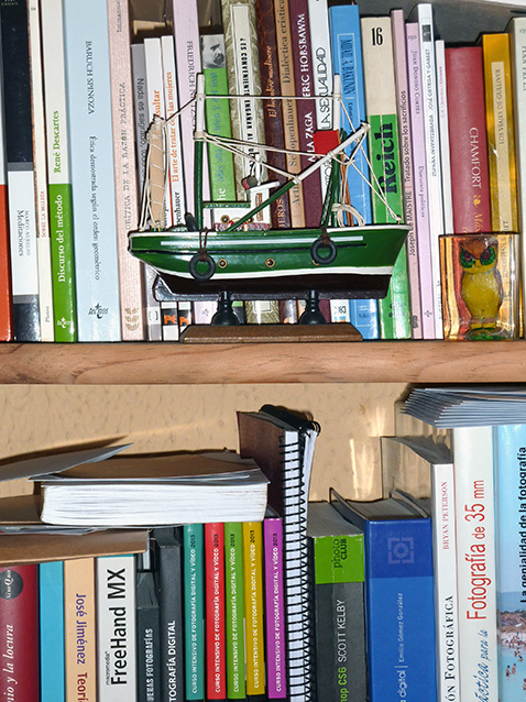 Cosas del artista: una estantería con libros.